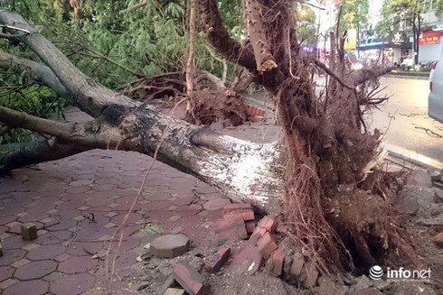 Tôi cần sự an toàn - ảnh 1