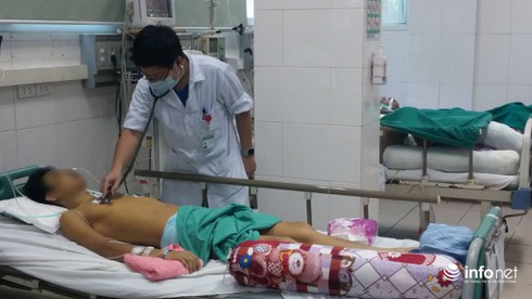 Suy gan trầm trọng vì chữa bệnh bằng nấm lim xanh - ảnh 2