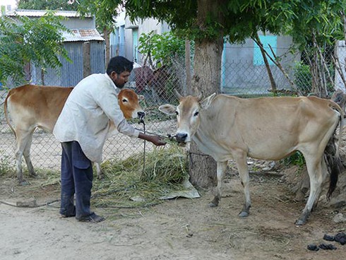 Shop TIN 16/12: “Giời ơi, bao giờ hết khổ hả giời!” - ảnh 1