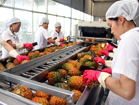 Nông sản Việt trong TPP: Thử xem xét từng đối thủ - ảnh 2