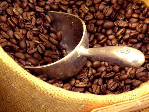 Nông sản Việt trong TPP: Thử xem xét từng đối thủ - ảnh 1