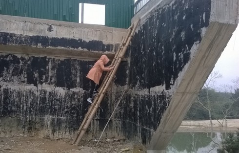 Shop TIN 22/1: Bỏ 50 tỷ xây cầu...khỉ, đợi câu ví giặm thông cầu - ảnh 1