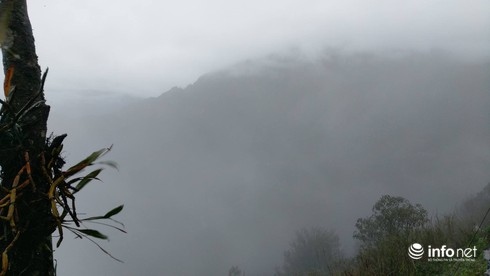 Nhiệt độ giảm nhanh, Sapa vẫn chưa có tuyết - ảnh 7