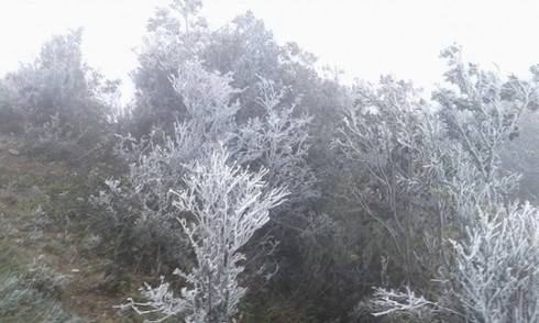 Nhiệt độ giảm nhanh, Sapa vẫn chưa có tuyết - ảnh 8