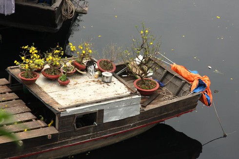 Shop TIN cuối cùng năm Ất Mùi: Bà con làng Facebook vào Tết - ảnh 35