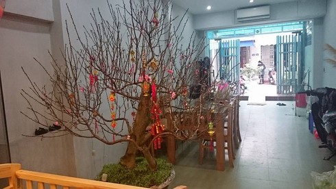 Shop TIN cuối cùng năm Ất Mùi: Bà con làng Facebook vào Tết - ảnh 24