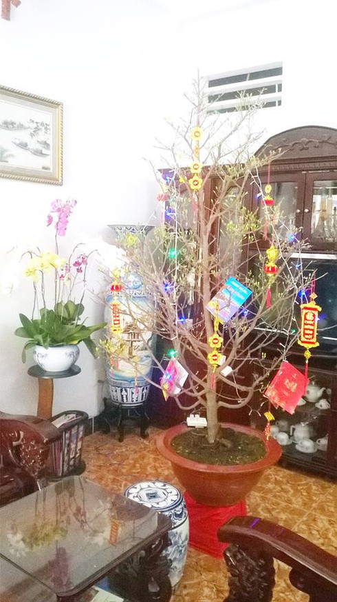 Shop TIN cuối cùng năm Ất Mùi: Bà con làng Facebook vào Tết - ảnh 26