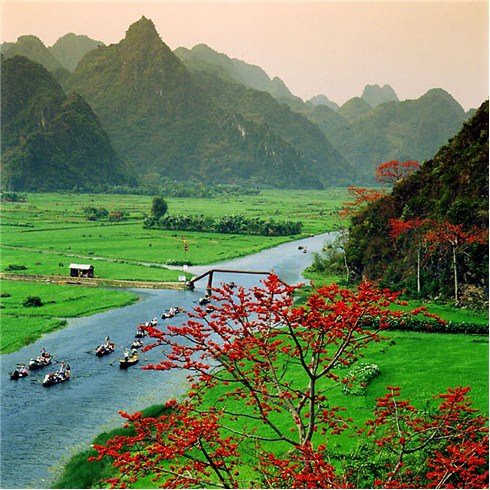 Shop TIN mồng 3 tết Bính Thân: Du lịch Việt Nam đang đuổi khách đi - ảnh 2