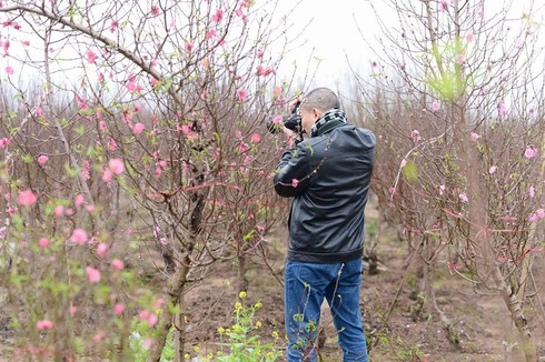 Shop TIN mồng 3 tết Bính Thân: Du lịch Việt Nam đang đuổi khách đi - ảnh 11