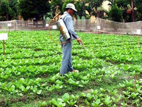 Thực phẩm “bẩn”: Ngưỡng nào cho người nông dân Việt Nam? - ảnh 1