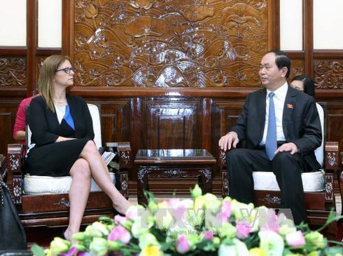 Chủ tịch nước tiếp Đại sứ Israel - ảnh 1