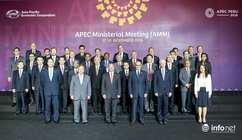 Phó Thủ tướng Phạm Bình Minh: APEC cần tiếp tục thể hiện vai trò là động lực của tăng trưởng - ảnh 1