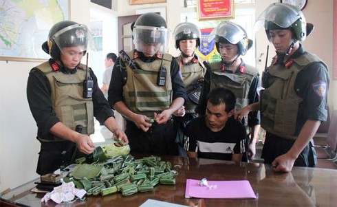 Giấu ma túy đá trong nem chua vẫn không thoát - ảnh 1