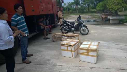 Phát hiện thịt thối và xe máy mất trộm trên xe khách - ảnh 1