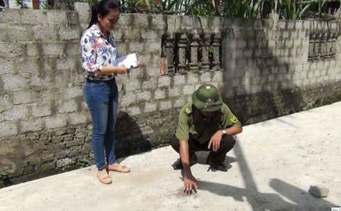 Nghệ An: Khẩn trương điều tra vụ dùng dao chém hàng xóm - ảnh 1