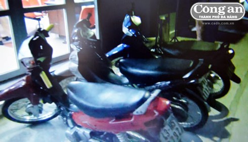 Truy tìm những “tổ lái điên” - ảnh 2