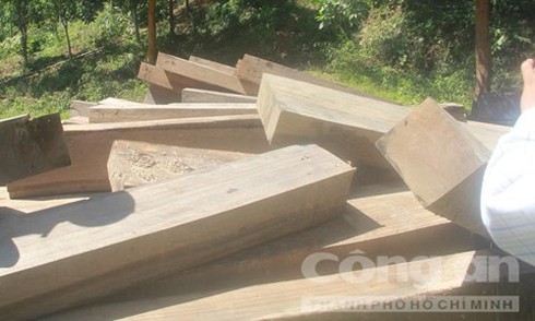 Phó chủ tịch tỉnh Quảng Nam nghi cán bộ tiếp tay lâm tặc - ảnh 1