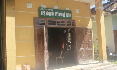 Phó chủ tịch tỉnh Quảng Nam nghi cán bộ tiếp tay lâm tặc - ảnh 2