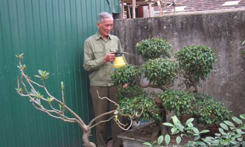 'Kiện tướng gùi hàng' và kỷ lục 'Đi bộ một vòng trái đất' - ảnh 3