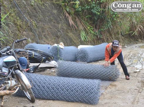 Sâm Ngọc Linh - chuyện bây giờ mới kể - ảnh 2