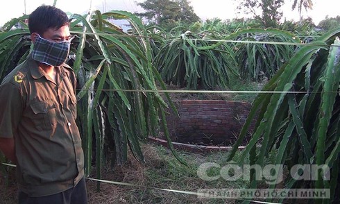 Bí ẩn xác nam thanh niên dưới giếng trong vườn thanh long - ảnh 1