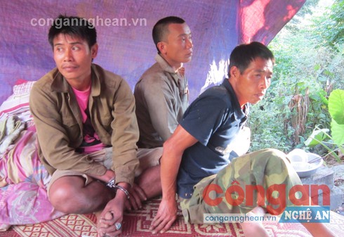 Cán bộ xã cùng 3 lâm tặc phá rừng đầu nguồn - ảnh 2