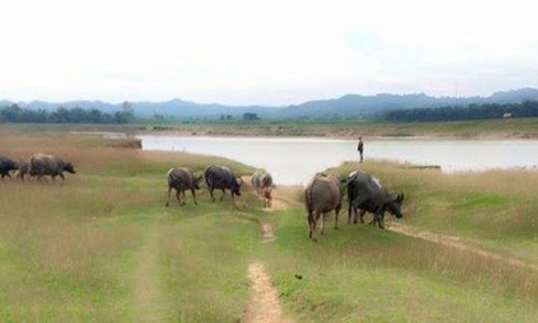 Bị 40 người dân truy đuổi, 3 'cẩu tặc' nhảy xuống sông tẩu thoát lúc rạng sáng - ảnh 1