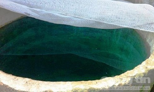 Đổ thuốc diệt cỏ vào bể nước sinh hoạt hãm hại người thân - ảnh 1