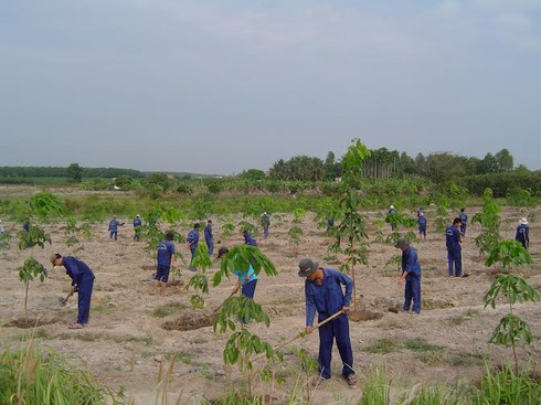 Tây Ninh có trên 2.600 người sử dụng trái phép chất ma túy được quản lý hồ sơ - ảnh 1