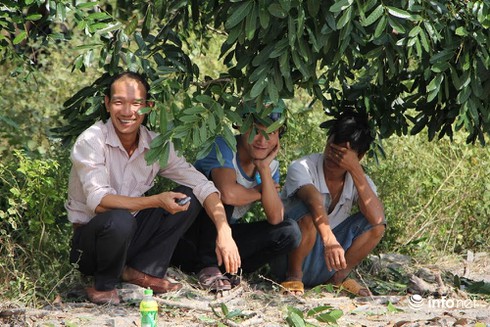 Trời nắng nóng, người dân trèo lên cây xem xử vụ thảm án Bình Phước - ảnh 4