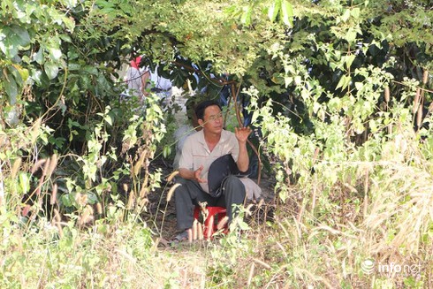 Trời nắng nóng, người dân trèo lên cây xem xử vụ thảm án Bình Phước - ảnh 6