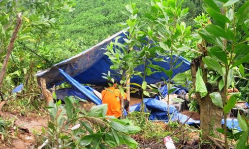 Dùng mã tấu chém đứt gân tay người đào vàng để cướp quặng vàng - ảnh 1