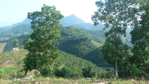 Hai “ông trùm” và bí mật kinh hoàng trong những chuyến “hàng” Tết - ảnh 1