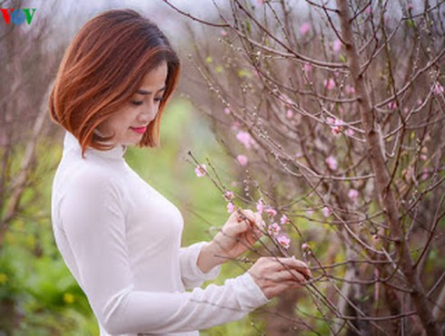 Shop TIN 28/1: Tết đến sát hiên nhà - ảnh 2