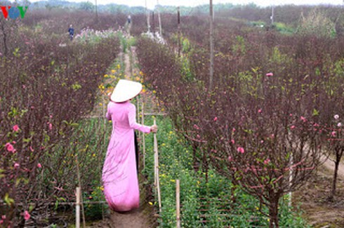 Shop TIN 28/1: Tết đến sát hiên nhà - ảnh 3