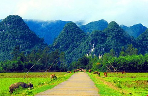 Shop TIN 29/1: Bạc tình bạc nghĩa là bạc không tiêu... - ảnh 3