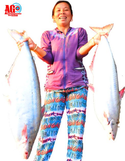 “Lái cá” đặc sản Vàm Nao - ảnh 2