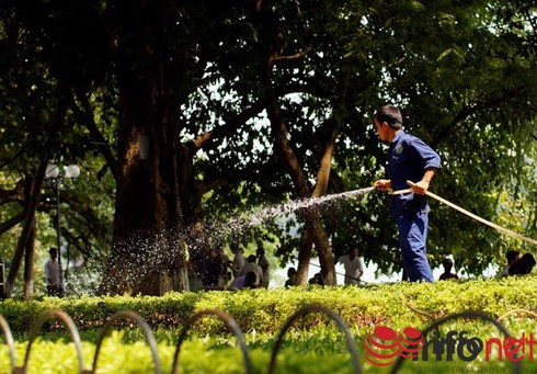 Dự báo thời tiết ngày 3 Tết và 4 ngày tiếp theo - ảnh 1