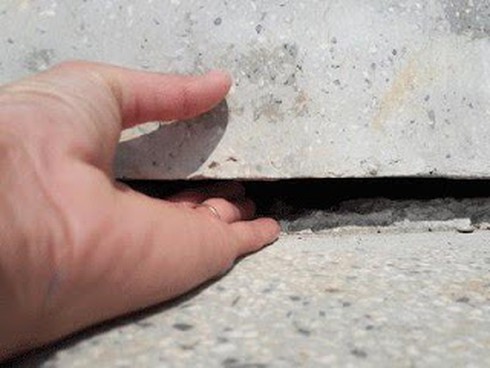 Shop TIN 20/2: ĐINH LA THĂNG sẽ không duy nhất và không đơn độc - ảnh 6