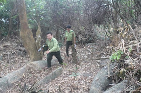 Shop TIN 26/2: Cao thì sao? Mất chim làm thế nào? Lý lẽ xử đái bậy (!) - ảnh 7