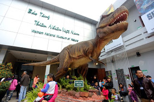 Shop TIN 29/2: Lại tiếp vụ