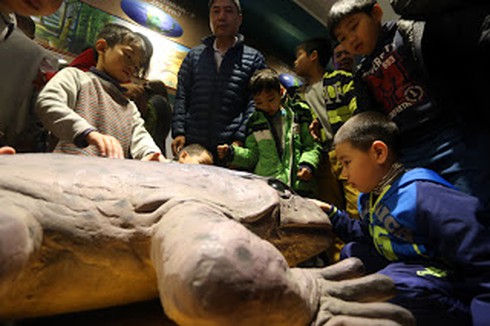 Shop TIN 29/2: Lại tiếp vụ