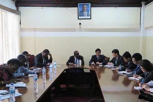 Việt Nam -Tanzania đẩy mạnh hợp tác đầu tư viễn thông - ảnh 1
