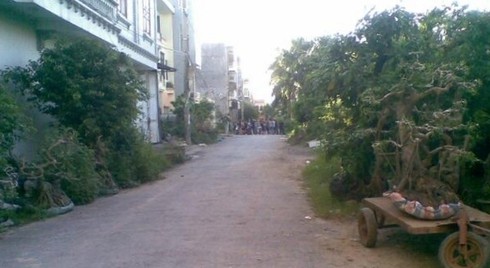 Kinh hoàng chó dữ - ảnh 2