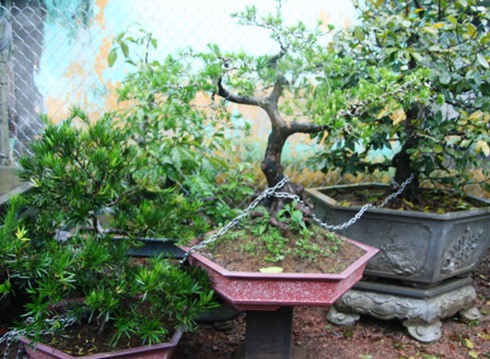 Những vụ mất cắp kỳ quái - ảnh 3