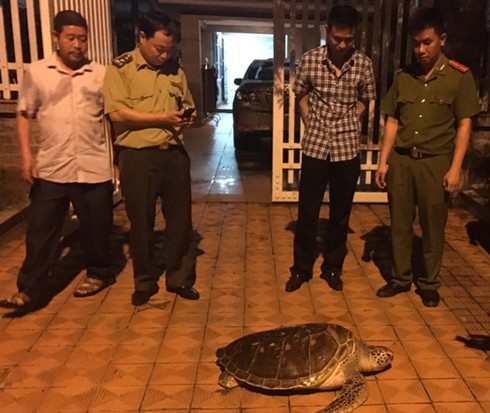 Con vích quý nặng gần 40kg