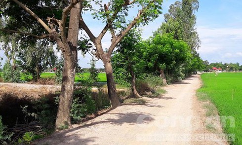 'Yêu râu xanh' mang 2 tiền án cướp, cưỡng bức bà lão - ảnh 2