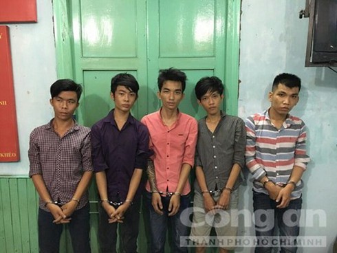 ‘Cú đêm’ sa lưới - ảnh 1