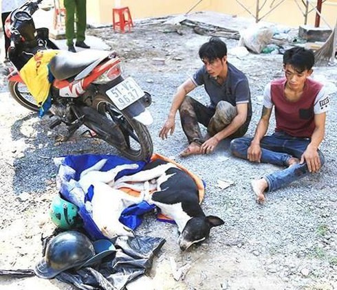 Hai kẻ trộm chó ném ớt bột vào công an xã - ảnh 1