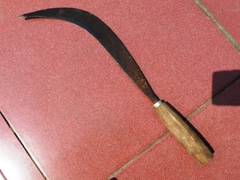 Dùng liềm chém cán bộ kiểm lâm trong trụ sở - ảnh 1